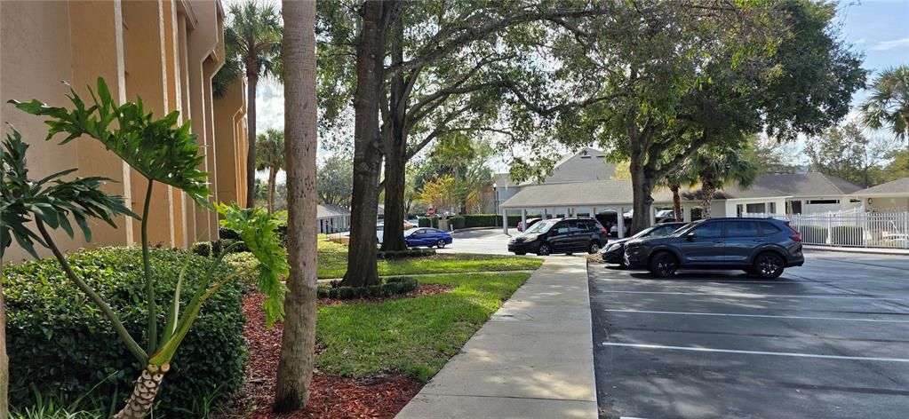 Active With Contract: $149,900 (2 beds, 1 baths, 929 Square Feet)