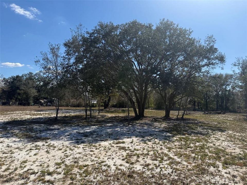 待售: $48,000 (1.25 acres)