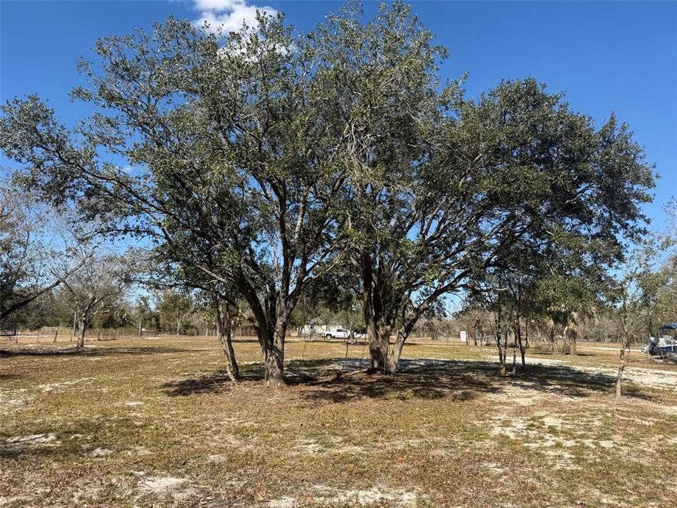 待售: $48,000 (1.25 acres)