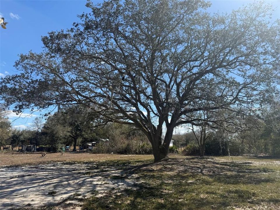 待售: $48,000 (1.25 acres)