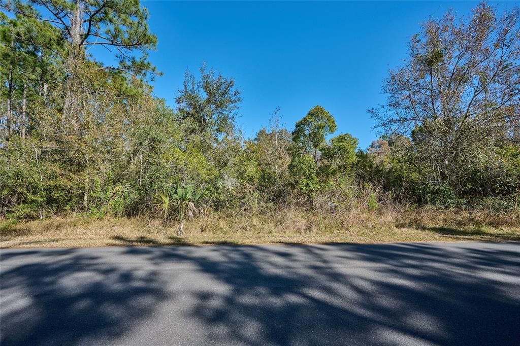 待售: $89,000 (0.50 acres)