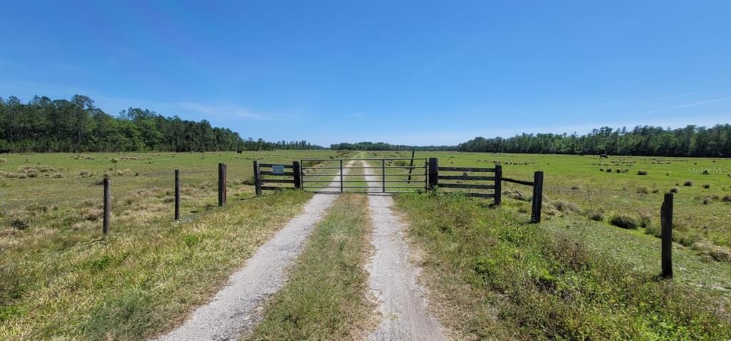 На продажу: $35,000 (1.25 acres)