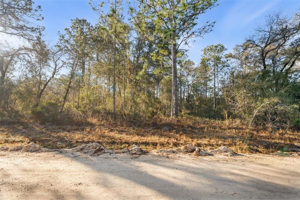 待售: $48,000 (2.00 acres)