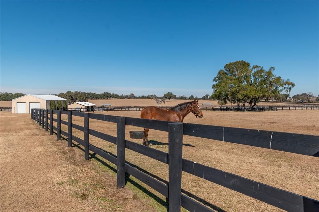 For Sale: $2,950,000 (4 beds, 4 baths, 3195 Square Feet)