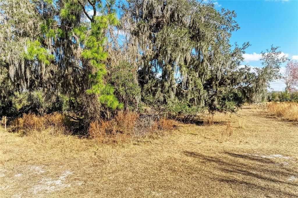 For Sale: $2,300,000 (150.00 acres)