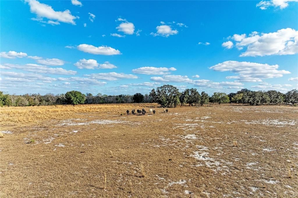 For Sale: $2,300,000 (150.00 acres)