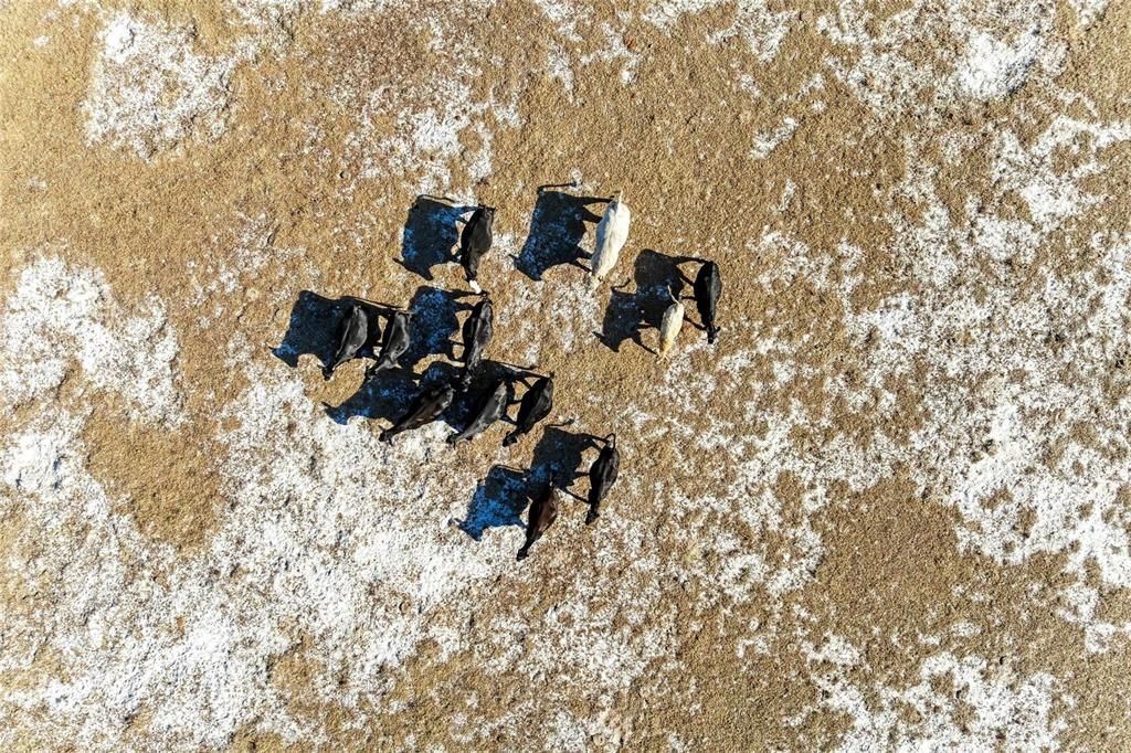 For Sale: $2,300,000 (150.00 acres)