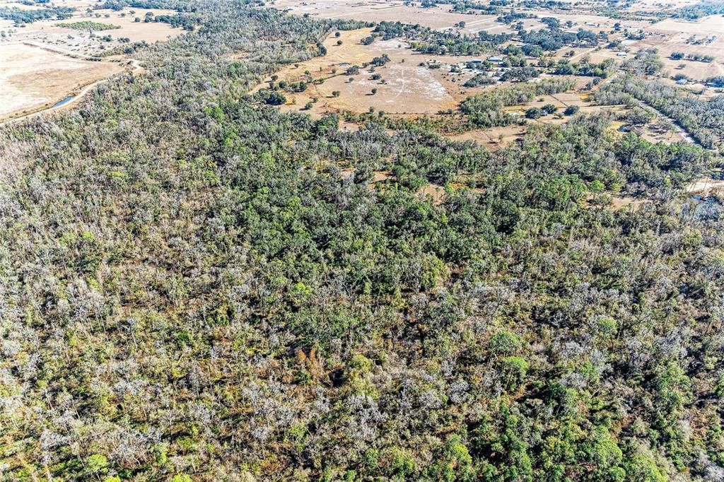 For Sale: $2,300,000 (150.00 acres)