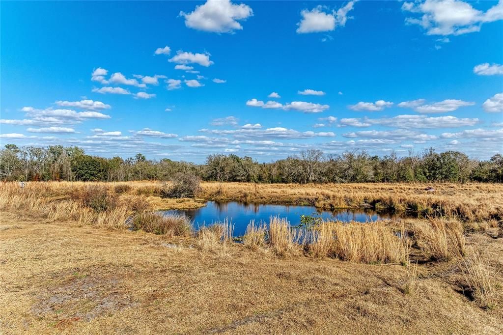 For Sale: $2,300,000 (150.00 acres)