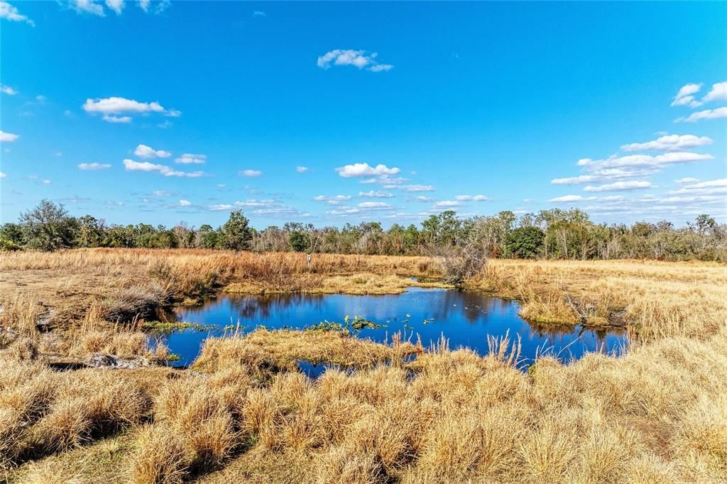 For Sale: $2,300,000 (150.00 acres)