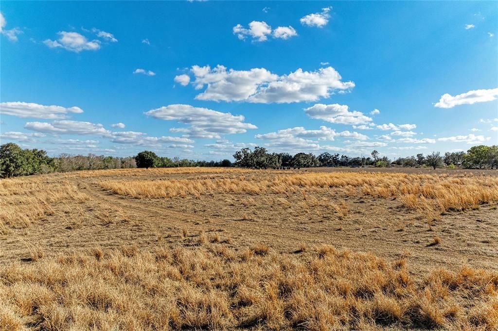 For Sale: $2,300,000 (150.00 acres)