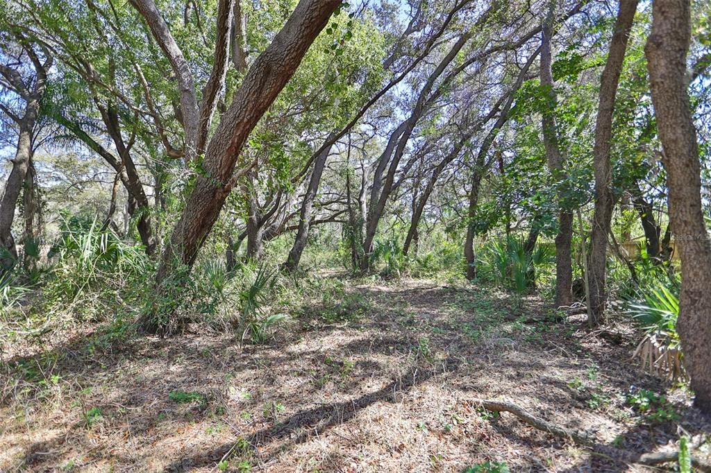 En Venta: $597,000 (0.96 acres)