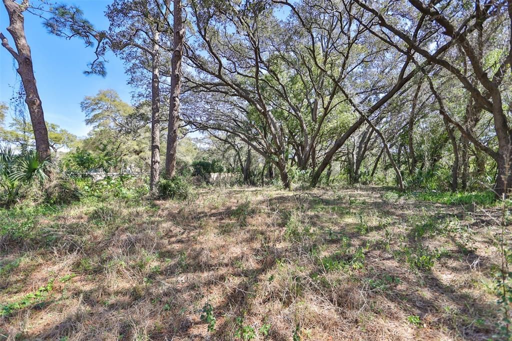 En Venta: $597,000 (0.96 acres)