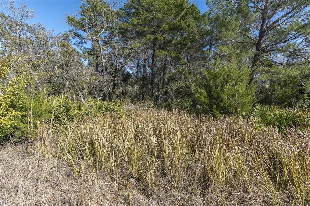 待售: $249,999 (5.00 acres)