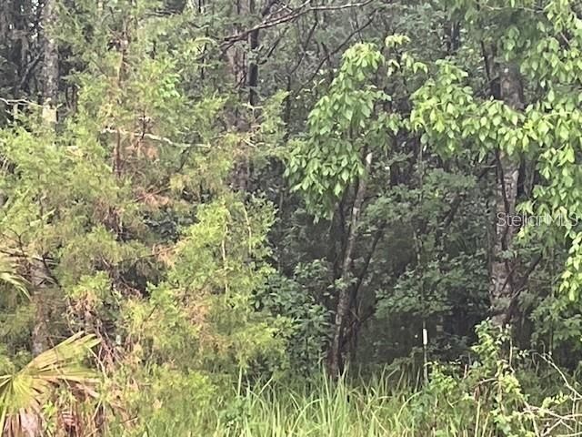 En Venta: $39,499 (0.50 acres)