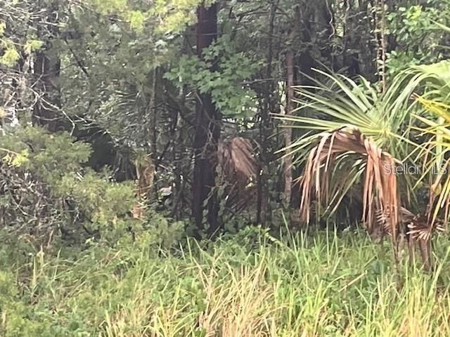 En Venta: $39,499 (0.50 acres)