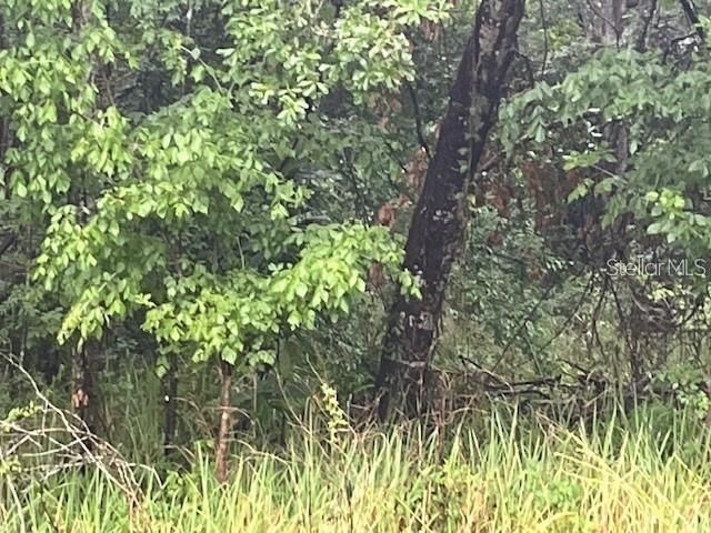 En Venta: $39,499 (0.50 acres)