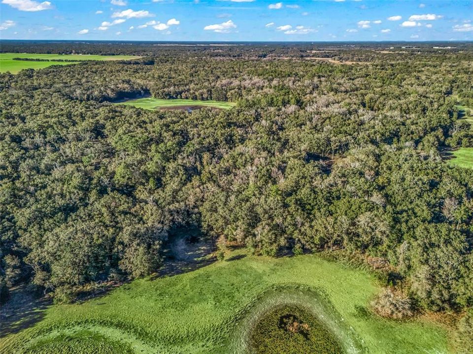 待售: $1,200,000 (100.01 acres)