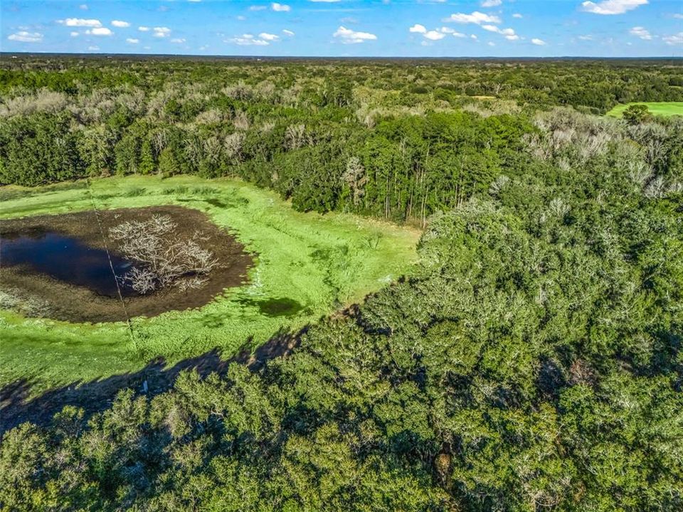 待售: $1,200,000 (100.01 acres)