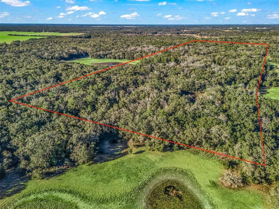 待售: $1,200,000 (100.01 acres)