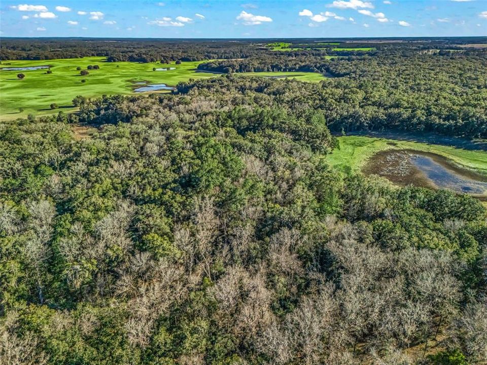 待售: $1,200,000 (100.01 acres)