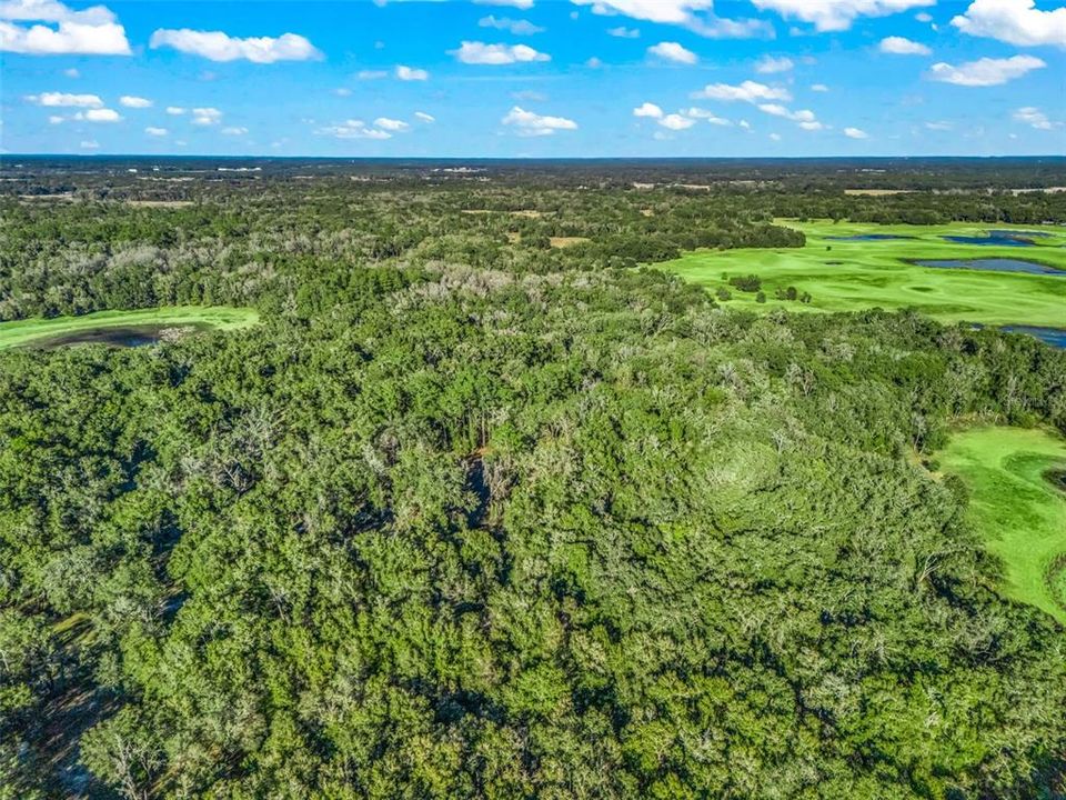 待售: $1,200,000 (100.01 acres)