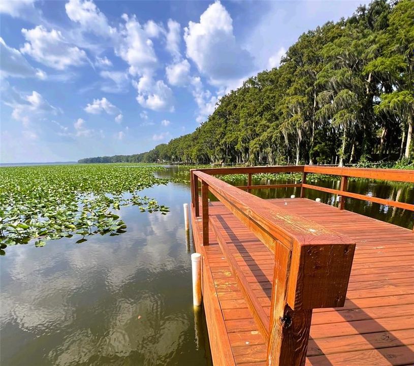 For Sale: $565,000 (4 beds, 3 baths, 3272 Square Feet)