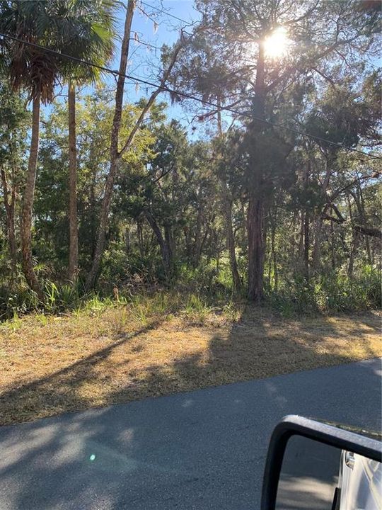 En Venta: $80,000 (1.27 acres)