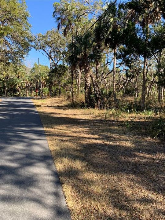 En Venta: $80,000 (1.27 acres)