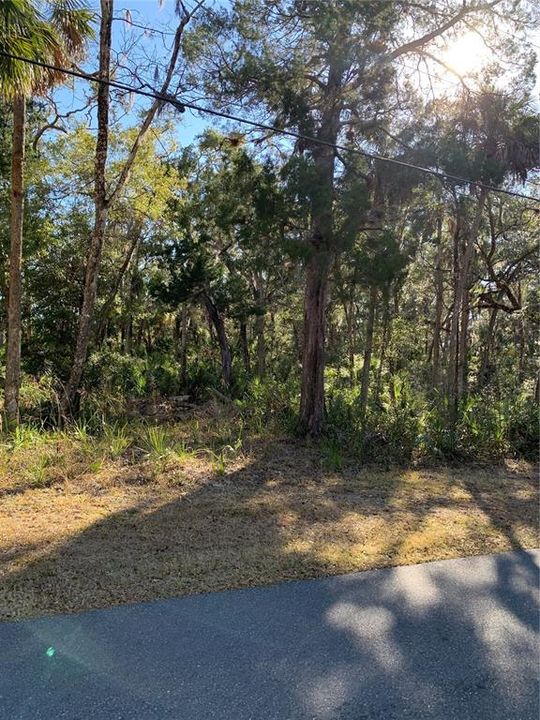 En Venta: $80,000 (1.27 acres)