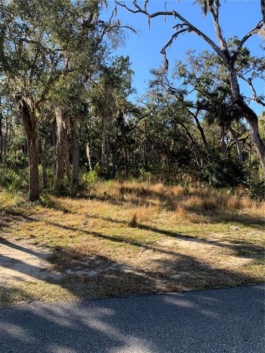 En Venta: $80,000 (1.27 acres)
