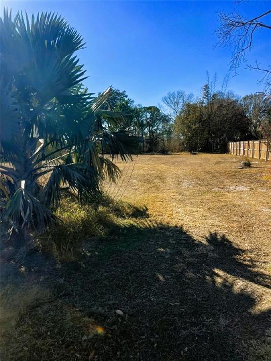 На продажу: $55,000 (0.49 acres)