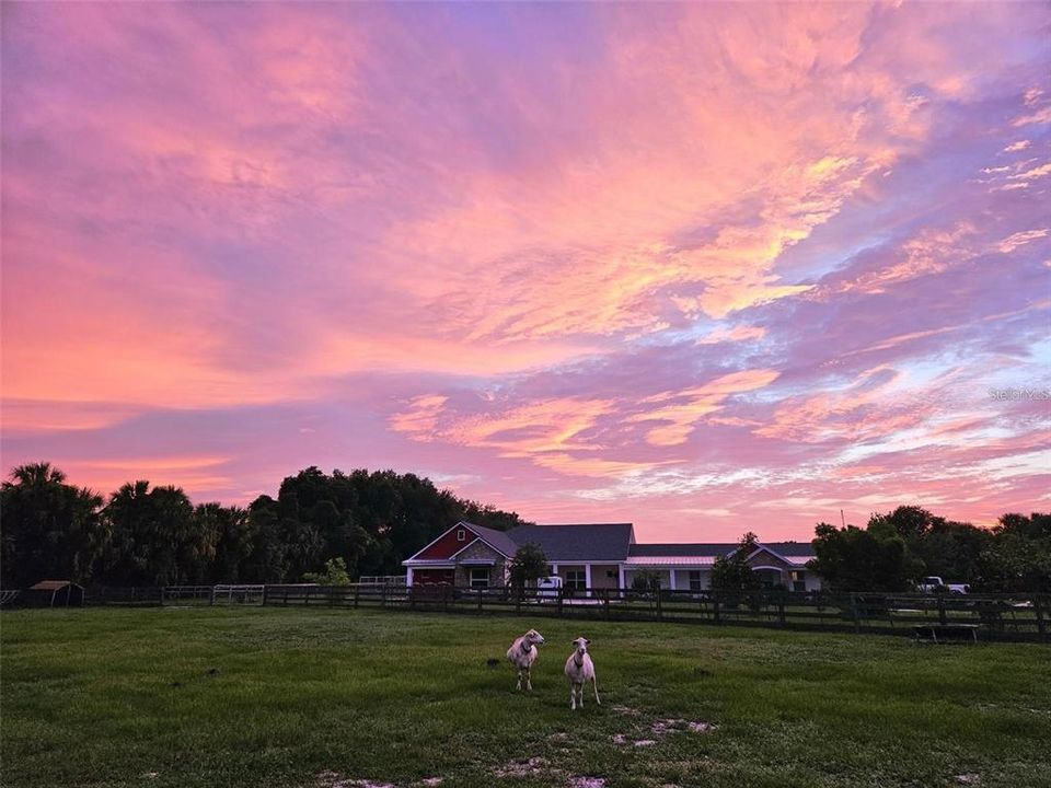 For Sale: $1,199,000 (3 beds, 4 baths, 3313 Square Feet)