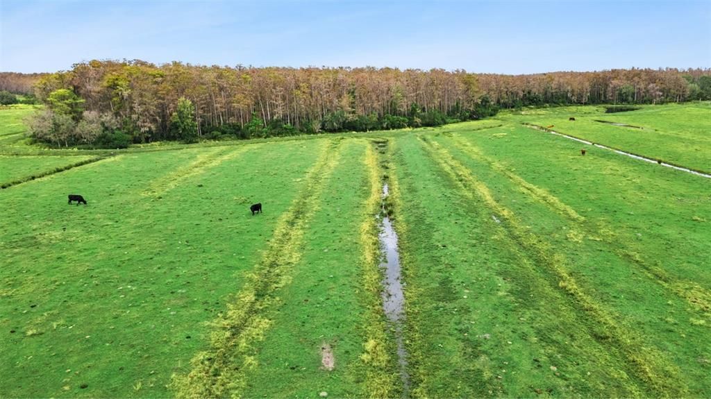 На продажу: $998,000 (37.78 acres)