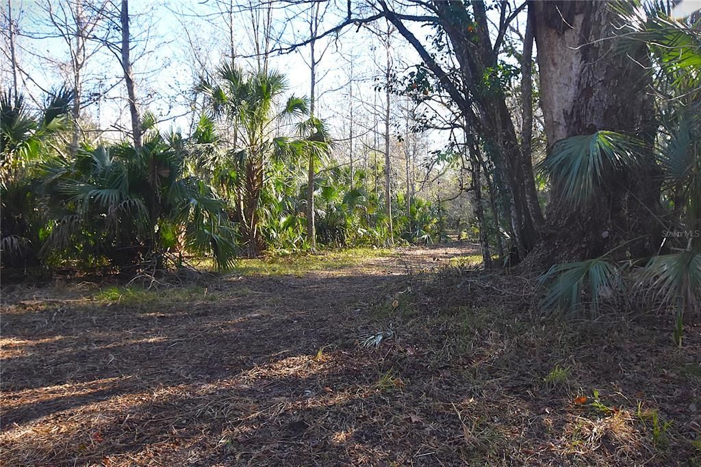 待售: $249,000 (5.00 acres)