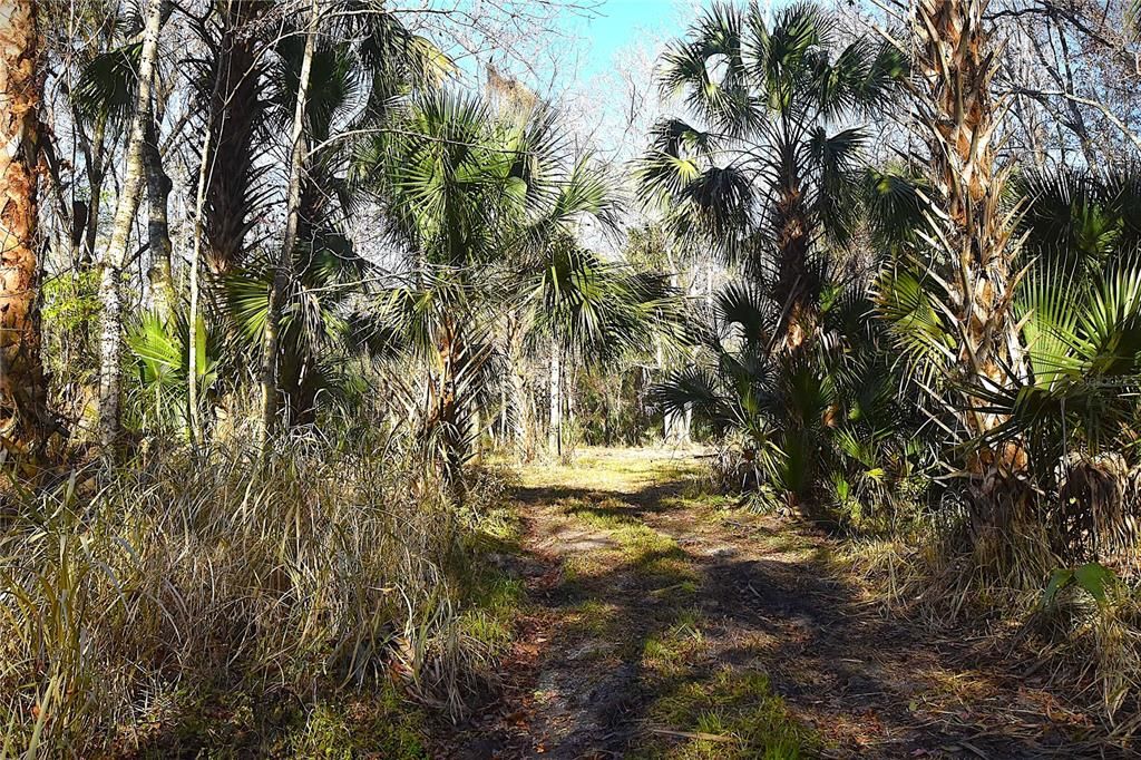 待售: $249,000 (5.00 acres)