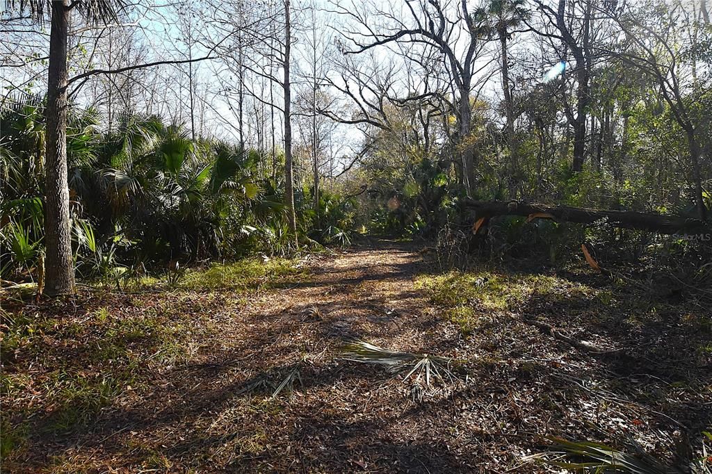 待售: $249,000 (5.00 acres)