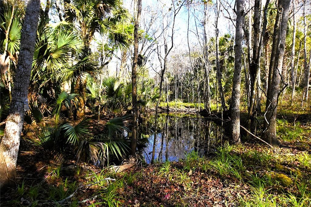 待售: $249,000 (5.00 acres)