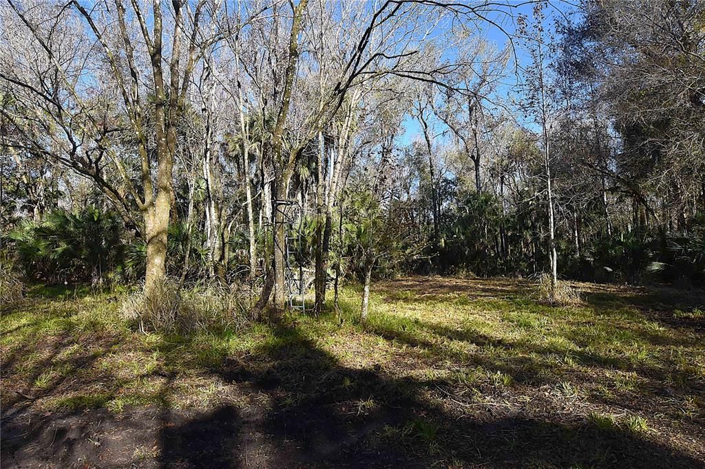 待售: $249,000 (5.00 acres)