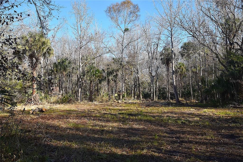 待售: $249,000 (5.00 acres)