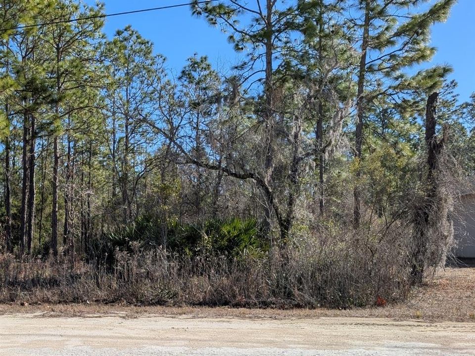 En Venta: $34,000 (0.46 acres)