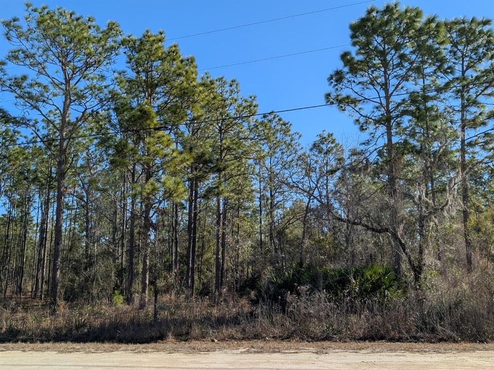 En Venta: $34,000 (0.46 acres)