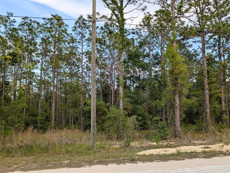 For Sale: $34,000 (0.46 acres)