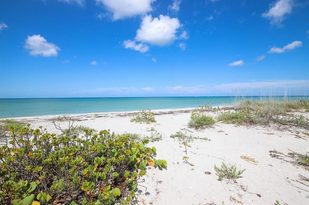 For Sale: $790,000 (0.55 acres)