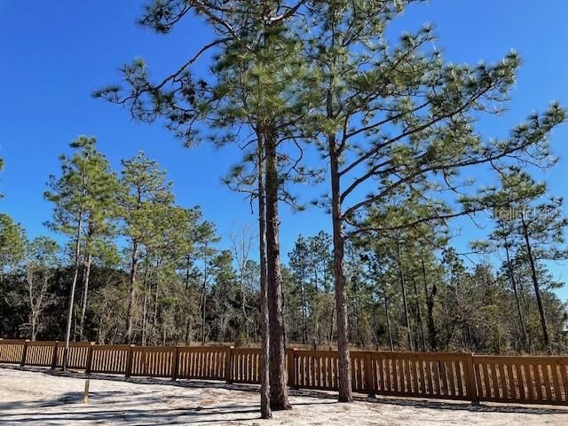 На продажу: $77,000 (0.25 acres)