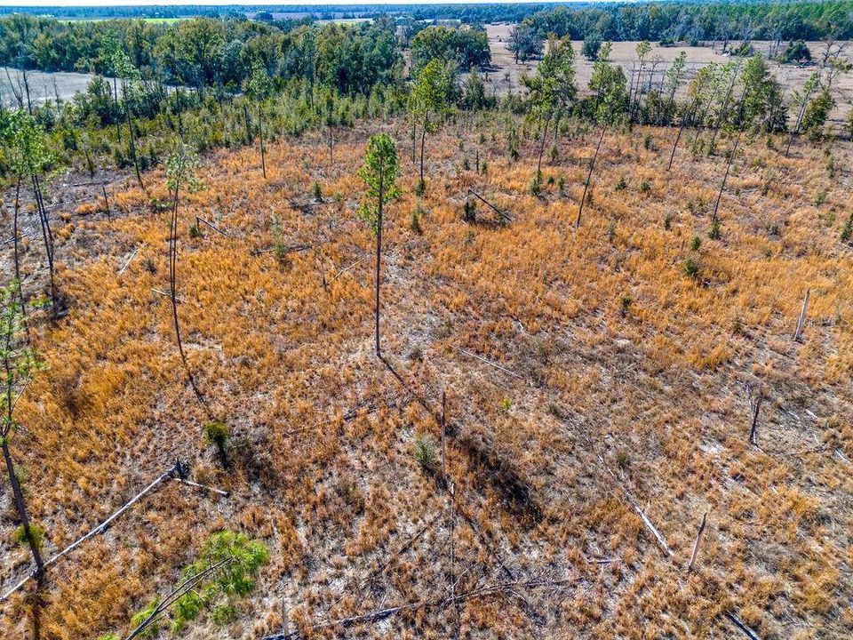 待售: $65,000 (5.02 acres)