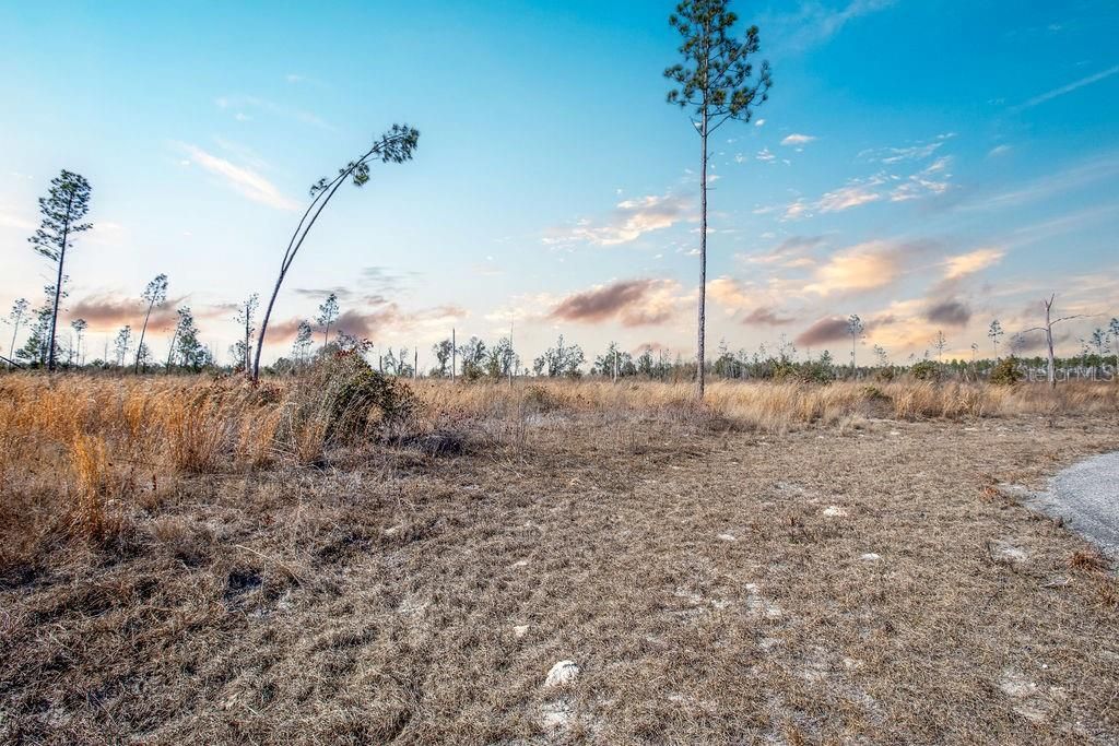 待售: $65,000 (5.02 acres)