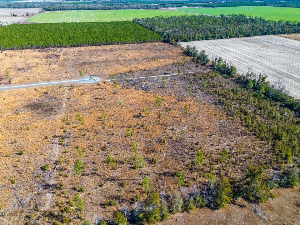 待售: $65,000 (5.02 acres)