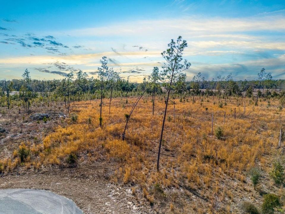 待售: $65,000 (5.02 acres)