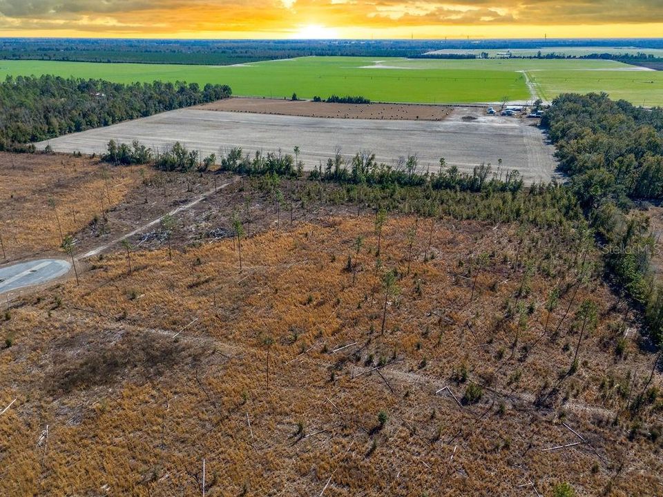 待售: $65,000 (5.02 acres)